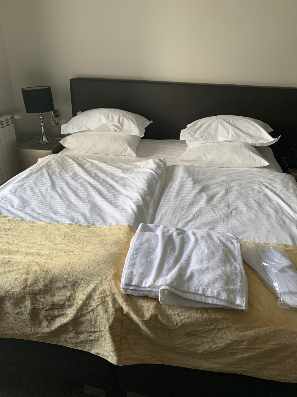 Отель Граф Орлов Самара-13