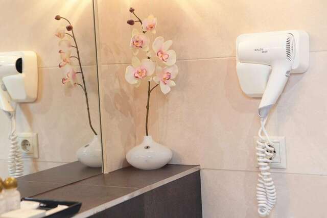 Отель Граф Орлов Самара-133